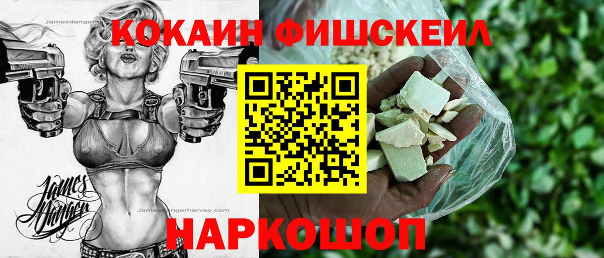 COCAIN  Вход с VPN  Коряжма  COCAIN FishScale  COCAIN Fish Scale 
