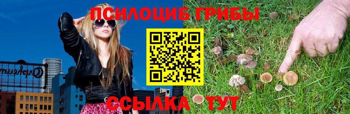 даркнет сайт  Псилоцибиновые грибы Cubensis  Вход с VPN  Коряжма  Галлюциногенные грибы Cubensis 